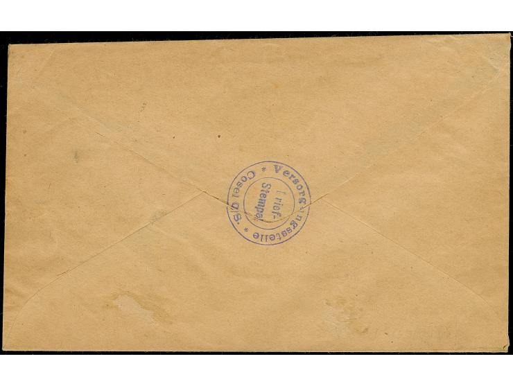 1920, CGHS 20 Pfennig, senkrechtes Paar, sauber mit Stempel “COSEL -9.10.20” auf großformatigem Dienstbrief mit nebengesetzte