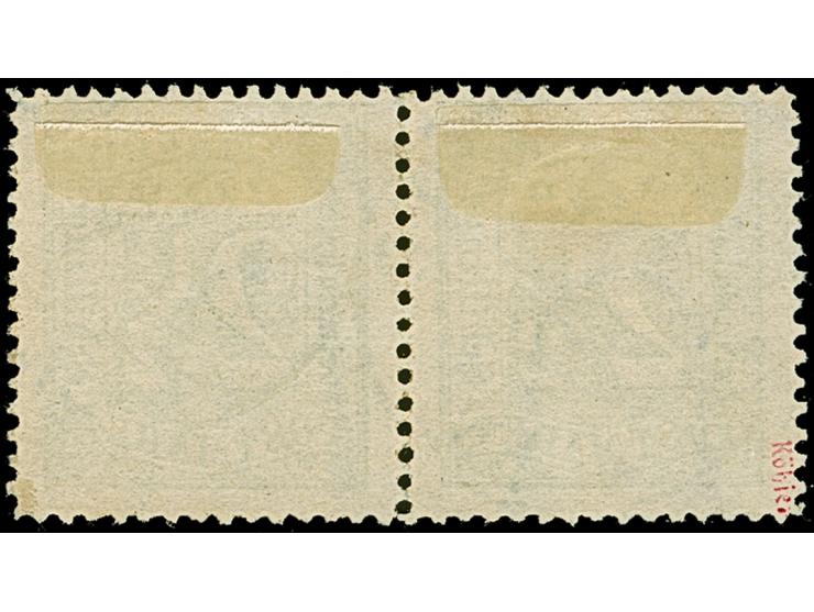 2½ &nbsp;Sch. dunkelolivgrün im waagerechten Paar, sauber entwertet durch blauen DKr. des Stadtpostamtes