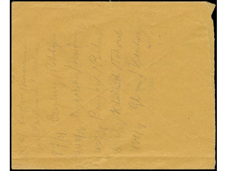 1919, Austrian field post Karl I. 50 h., two bisected stamps, tied by cds. “RADOM 31.1.19” to registered cover to Lublin, som