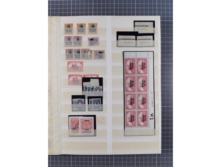 1914/20 (ca.), ungebrauchte, teils postfrische, und gestempelte Partie im Steckbuch, dabei Dorpat, Bialystock 1-2, etc.