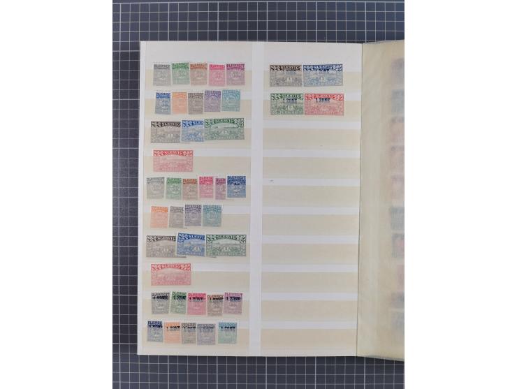 1914/20 (ca.), ungebrauchte, teils postfrische, und gestempelte Partie im Steckbuch, dabei Dorpat, Bialystock 1-2, etc.