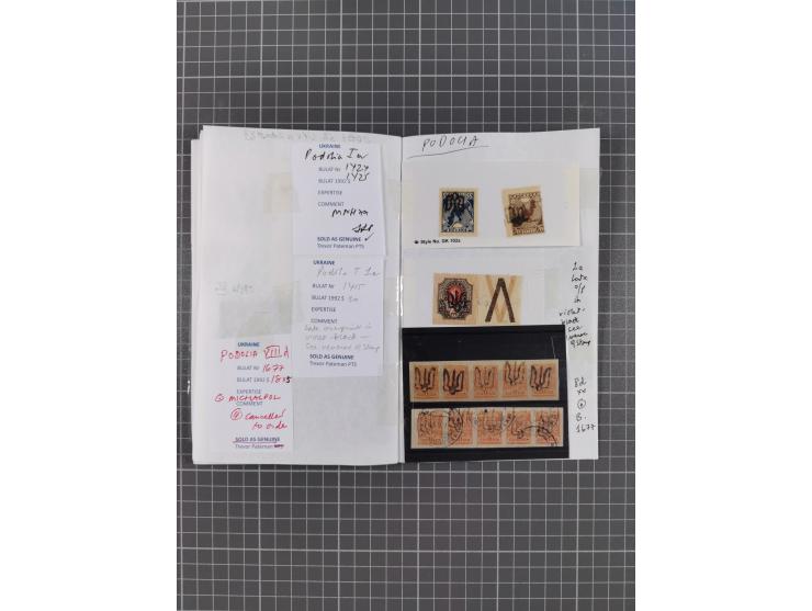 1918/20, Ukraine Tridents, over 100 unused and used stamps, including some multiples, with a fine choice of local overprints 