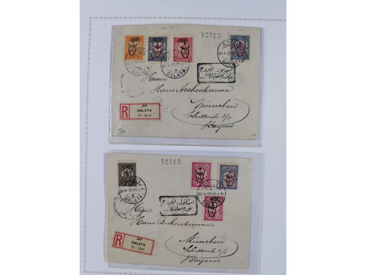 1917, OX-HEAD (PTT) Issues specialized collection on 24 selfmade album pages including a mainly used set, many high values 25