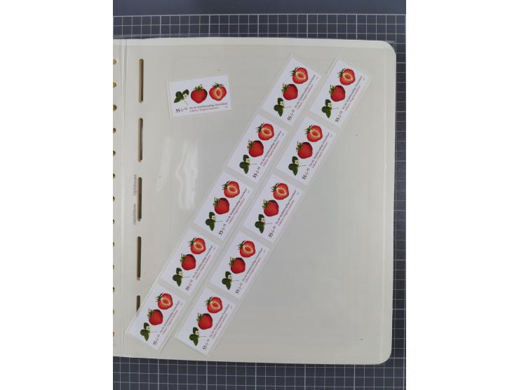 1949/2024, umfangreiche postfrische und zusätzlich teils gestempelte Sammlung in über 100 Vordruckalben und hunderten losen B