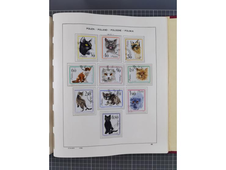 1918/89 (ca.), mint never hinged/unused and mostly used collection with duplicates, including Polish areas, Schlesien, etc., 