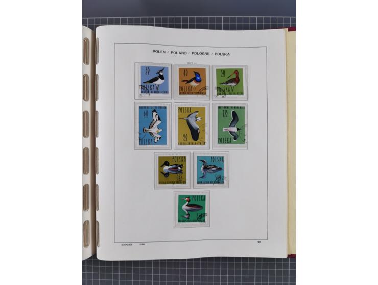 1918/89 (ca.), mint never hinged/unused and mostly used collection with duplicates, including Polish areas, Schlesien, etc., 