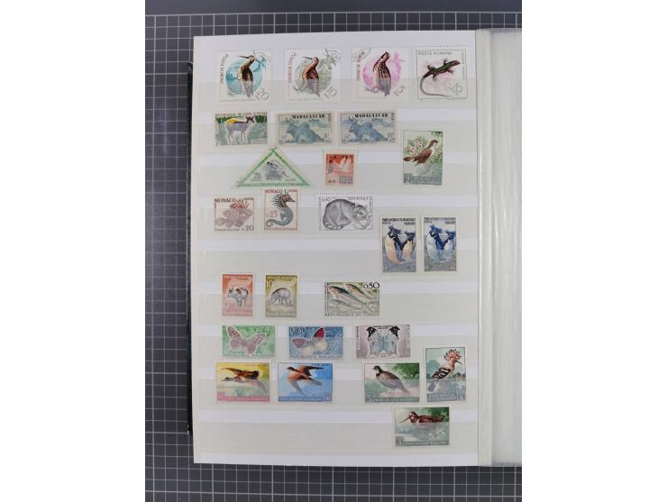 FAUNA: 1940/90 (ca.), collection in album starting with Western Australia Swans, many animal series from Lebanon and Turkey, 