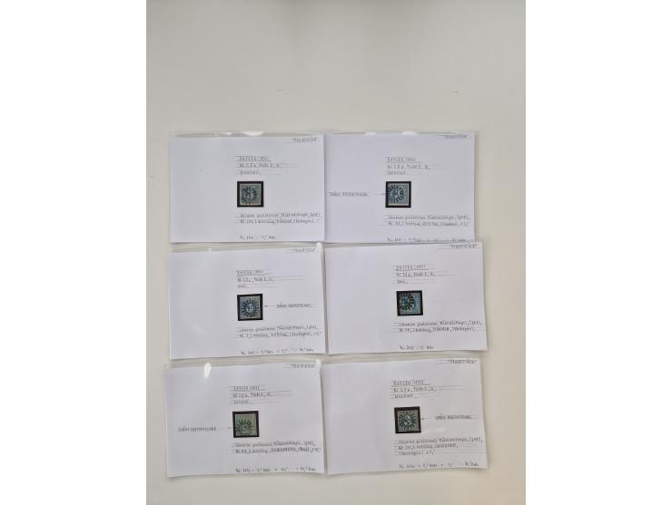 Baden bis Taxis, ungebrauchte und gestempelte Sammlungsbestand, jedes Stück mit ausführlicher Beschriftung auf Karten montier