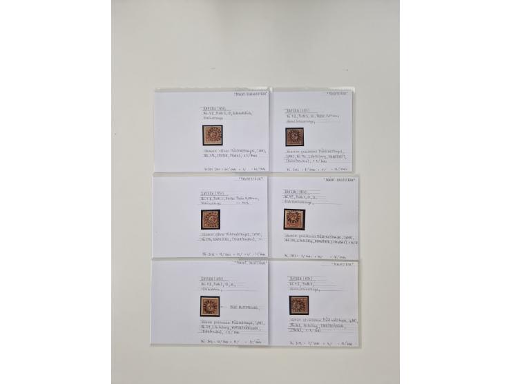 Baden bis Taxis, ungebrauchte und gestempelte Sammlungsbestand, jedes Stück mit ausführlicher Beschriftung auf Karten montier