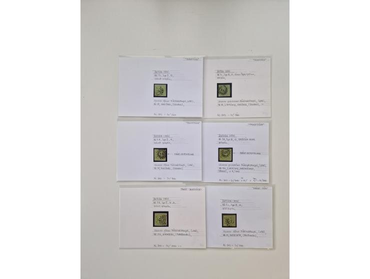 Baden bis Taxis, ungebrauchte und gestempelte Sammlungsbestand, jedes Stück mit ausführlicher Beschriftung auf Karten montier
