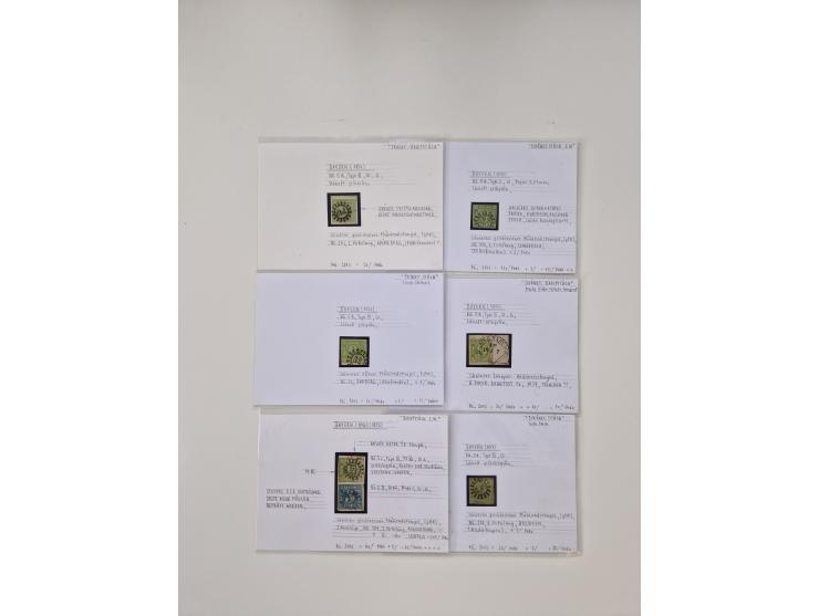 Baden bis Taxis, ungebrauchte und gestempelte Sammlungsbestand, jedes Stück mit ausführlicher Beschriftung auf Karten montier