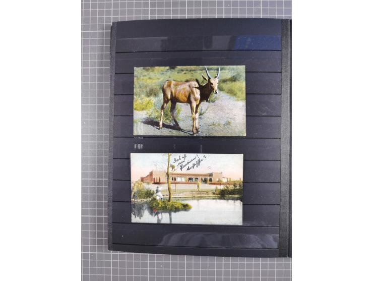 1898/1906(ca.), Briefalbum mit 26 Briefen, viele Ansichtskarten und Ganzsachen, dabei etliche bessere Belege u.a. Seepostbrie