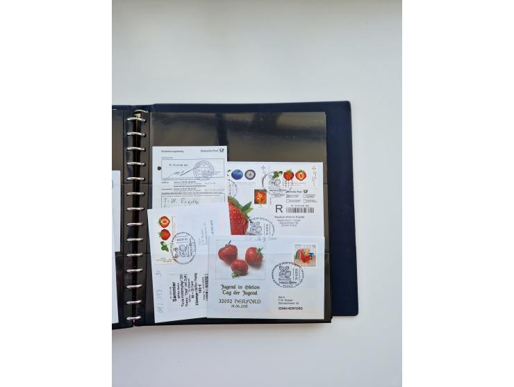 HERFORD: 1850/2011, interessante Partie ab Vorphila über etwas Preußen sowie Deutsches Reich ab Brustschild Drittes Reich, sp