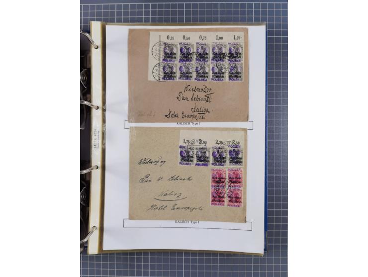 1918/19, interesting, unused/mint never hinged/used collection “Germania overprint issues,” including local issues with bette