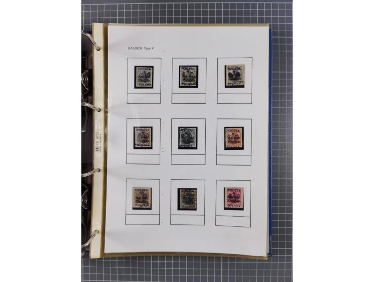 1918/19, interesting, unused/mint never hinged/used collection “Germania overprint issues,” including local issues with bette