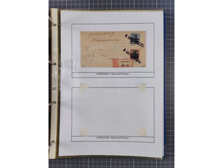 1918/19, interesting, unused/mint never hinged/used collection “Germania overprint issues,” including local issues with bette