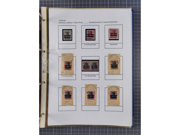 1918/19, interesting, unused/mint never hinged/used collection “Germania overprint issues,” including local issues with bette