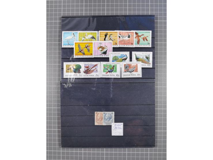 1880/1980, unused/mint never hinged dealer stock on cards, including a lot of material with better issues from Denmark, Italy