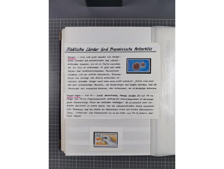 Antarktis: 1961/2016, meist postfrische Sammlung mit Ausgaben von diversen Ländern von Argentinien bis Wallis und Futuna, der