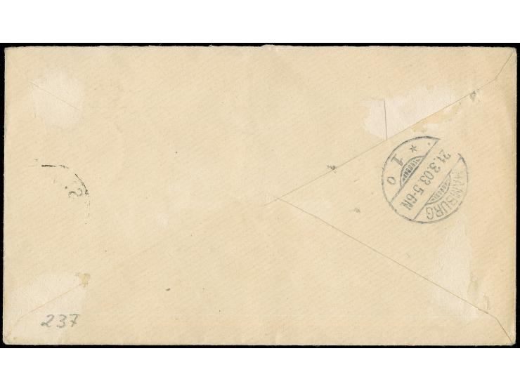 1896/1901, 4c brown &amp; blue, horizontal pair, tied to commercial cover to Hamburg, endorsed “per German Mail”, with Hambur