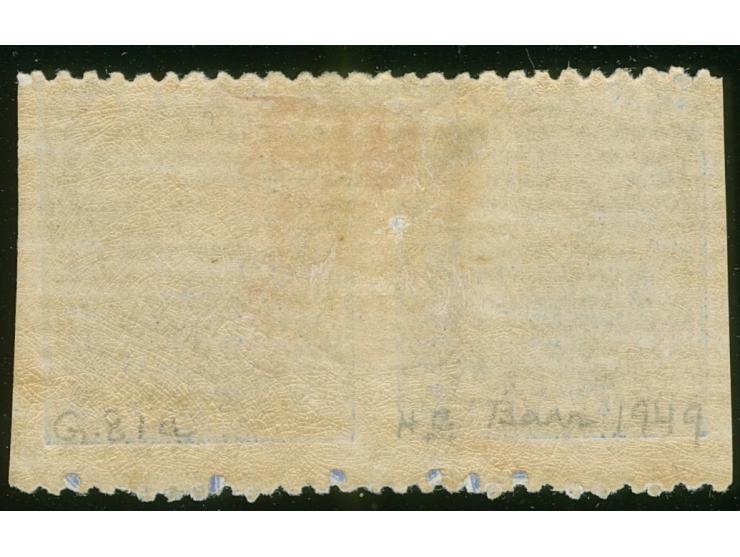 1877, Govt. Printing: pair 1 d. blue on laid paper with monogram "VR" overprint, variety ‘vertical imperf’, unused hinged, go