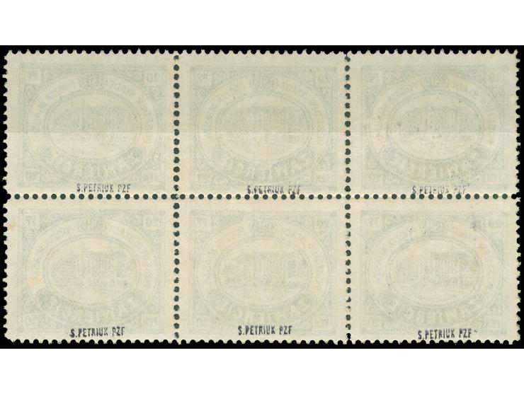 1916, Ansichten 20 F., ohne Kontrllaufdruck, Sechserblock, postfrisch, tadellos, Einheiten sind selten, sign. S. Petriuk PZF