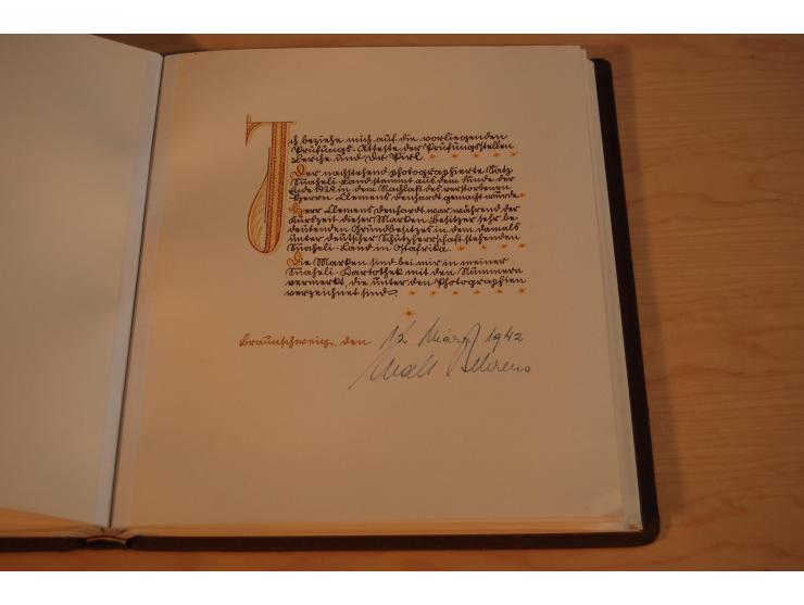 1889, kpl. ungebrauchte Sammlung aller Frei- und Dienstmarken im sogenannten Lerche-Album mit Gutachten von Lerche und Dr. Pi