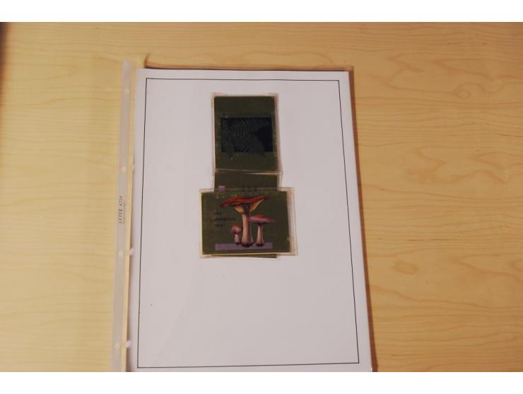 1849/2000, sehr umfangreiche und spezialisierte ungebrauchte/postfrische und gestempelte Sammlung mit vielen Briefen und etli