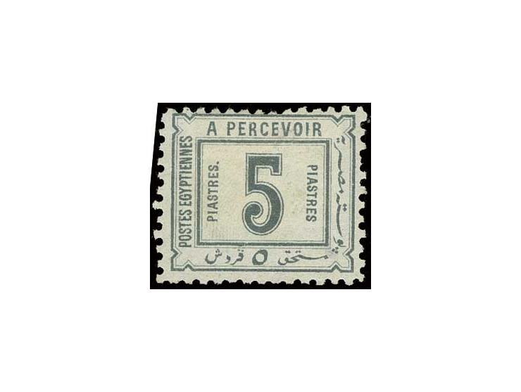 1888: 5 pia. grey-blue, Type III, showing "Stop after Piastres", a good mint example, one minor short perforation at right. F