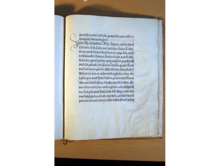 Rudolf II von Habsburg, römisch-deutscher Kaiser, 1609, 16seitiger Adelsbrief mit dekorativem handgemaltem Familienwappen, Ka