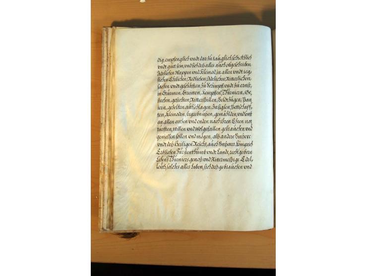 Rudolf II von Habsburg, römisch-deutscher Kaiser, 1609, 16seitiger Adelsbrief mit dekorativem handgemaltem Familienwappen, Ka