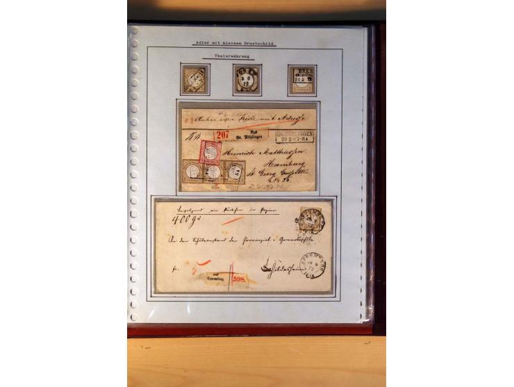1872/75, BRUSTSCHILDE, ungebrauchter, teils postfrischer und gestempelter umfangreicher Sammlungsbestand, aufgelockert durch 