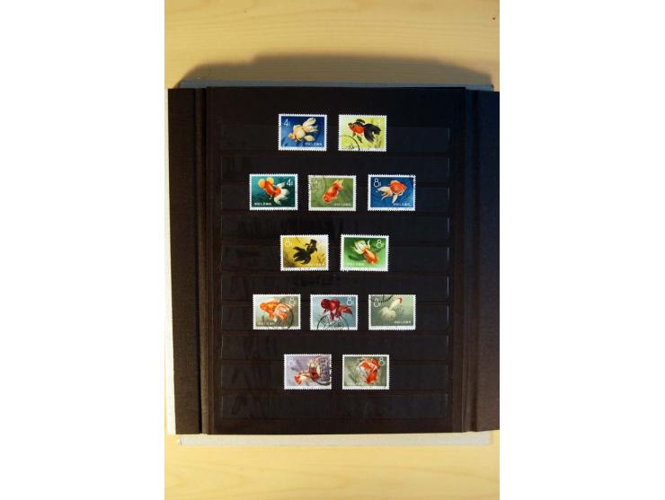 1949/70, vorwiegend gestempelte Sammlung mit besseren, dabei Mi.-Nr. 736-38 und 741-43B im Paar gestempelt, Block 7 postfrisc
