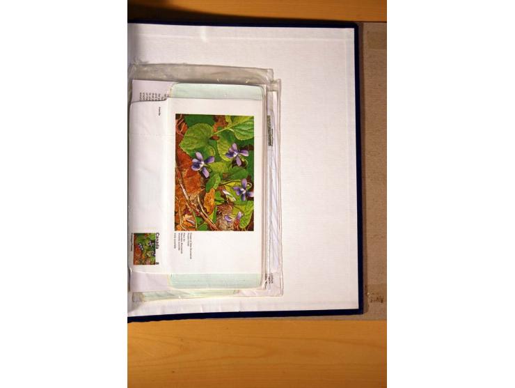 FAUNA UND FLORA: 1900/2003 (ca.), postfrische, ungebrauchte und gestempelte riesige Sammlung mit Schwerpunkt Flora, dabei auc