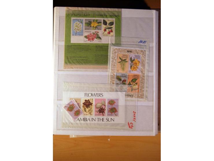 FAUNA UND FLORA: 1900/2003 (ca.), postfrische, ungebrauchte und gestempelte riesige Sammlung mit Schwerpunkt Flora, dabei auc