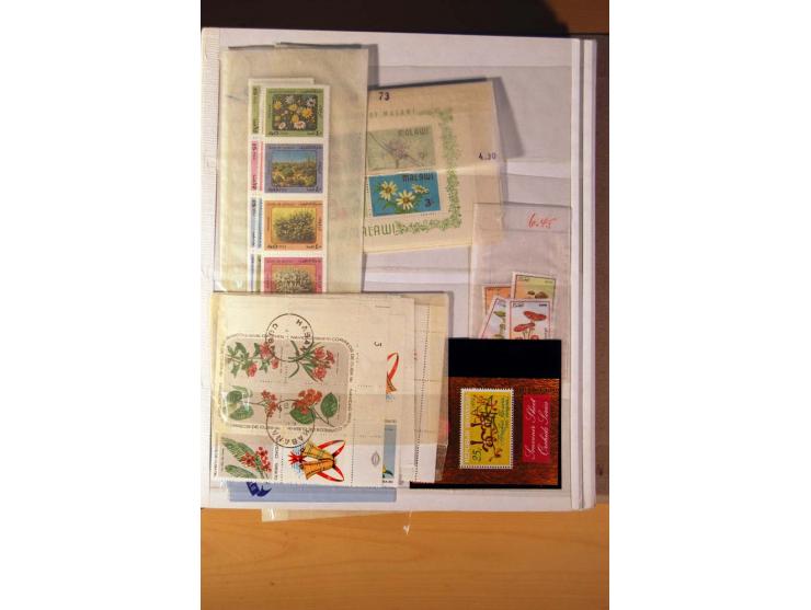 FAUNA UND FLORA: 1900/2003 (ca.), postfrische, ungebrauchte und gestempelte riesige Sammlung mit Schwerpunkt Flora, dabei auc