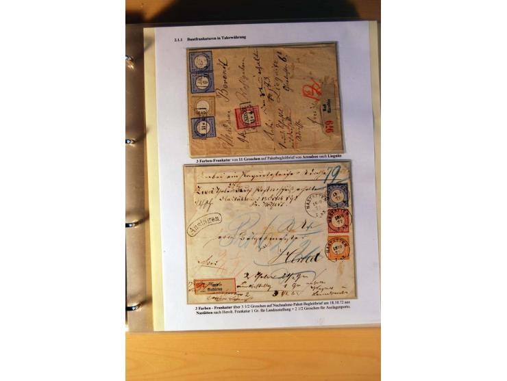 1872/75, große Brustschilde-Ausstellungs-Sammlung auf 83 Blättern, dabei viele Besonderheiten, u.a. raue Zähnung, fehlende Zä