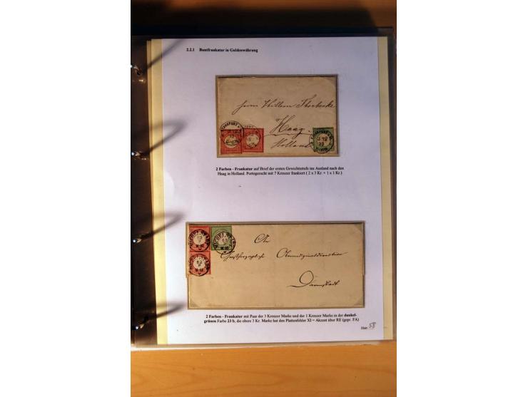 1872/75, große Brustschilde-Ausstellungs-Sammlung auf 83 Blättern, dabei viele Besonderheiten, u.a. raue Zähnung, fehlende Zä
