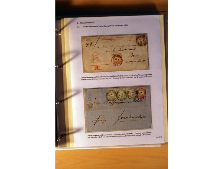 1872/75, große Brustschilde-Ausstellungs-Sammlung auf 83 Blättern, dabei viele Besonderheiten, u.a. raue Zähnung, fehlende Zä
