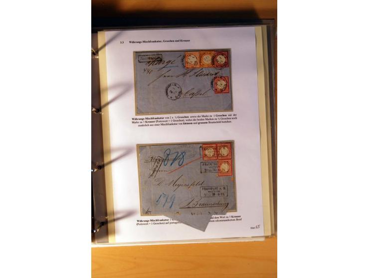 1872/75, große Brustschilde-Ausstellungs-Sammlung auf 83 Blättern, dabei viele Besonderheiten, u.a. raue Zähnung, fehlende Zä