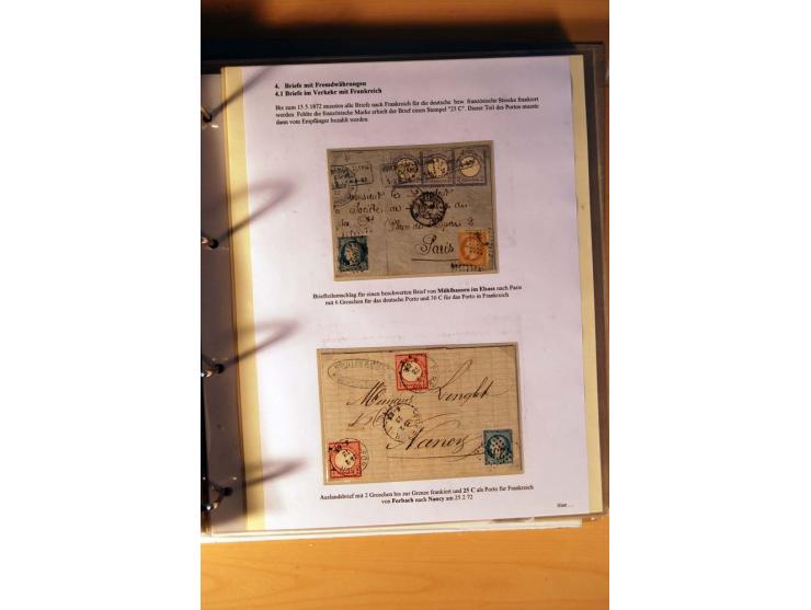 1872/75, große Brustschilde-Ausstellungs-Sammlung auf 83 Blättern, dabei viele Besonderheiten, u.a. raue Zähnung, fehlende Zä