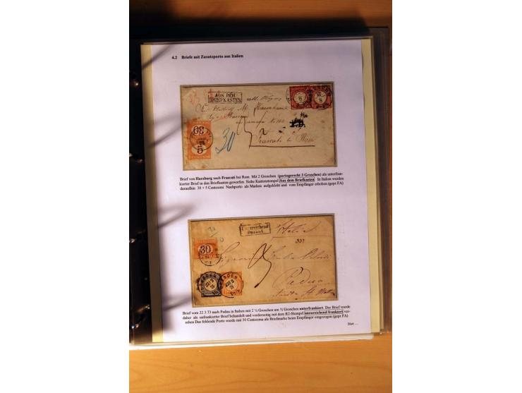 1872/75, große Brustschilde-Ausstellungs-Sammlung auf 83 Blättern, dabei viele Besonderheiten, u.a. raue Zähnung, fehlende Zä