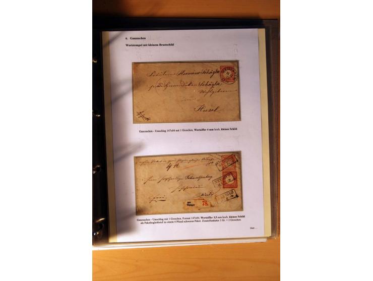 1872/75, große Brustschilde-Ausstellungs-Sammlung auf 83 Blättern, dabei viele Besonderheiten, u.a. raue Zähnung, fehlende Zä