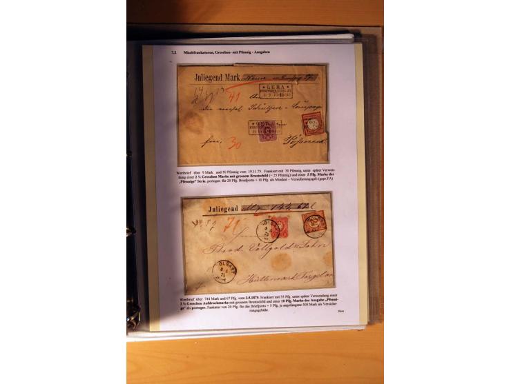 1872/75, große Brustschilde-Ausstellungs-Sammlung auf 83 Blättern, dabei viele Besonderheiten, u.a. raue Zähnung, fehlende Zä