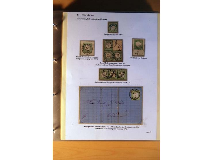1872/75, große Brustschilde-Ausstellungs-Sammlung auf 83 Blättern, dabei viele Besonderheiten, u.a. raue Zähnung, fehlende Zä