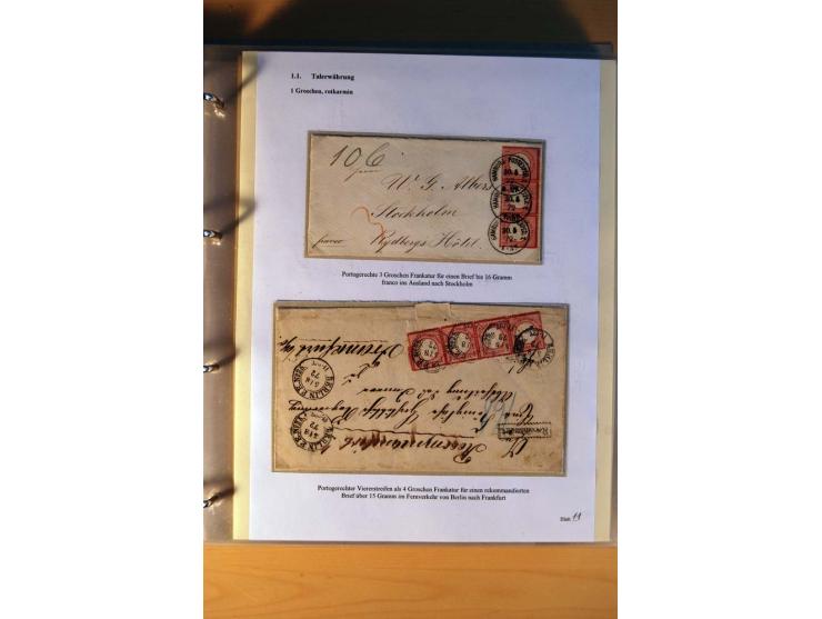 1872/75, große Brustschilde-Ausstellungs-Sammlung auf 83 Blättern, dabei viele Besonderheiten, u.a. raue Zähnung, fehlende Zä