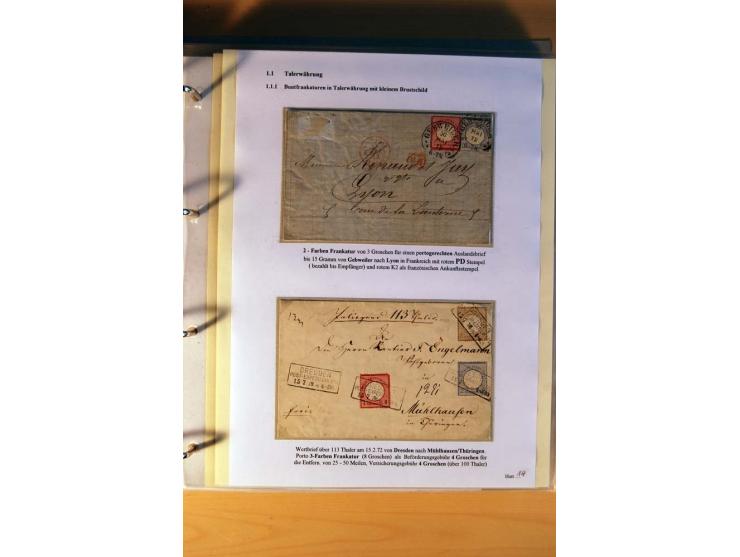 1872/75, große Brustschilde-Ausstellungs-Sammlung auf 83 Blättern, dabei viele Besonderheiten, u.a. raue Zähnung, fehlende Zä
