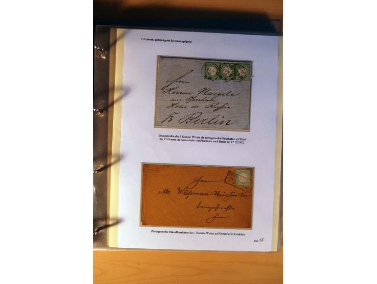 1872/75, große Brustschilde-Ausstellungs-Sammlung auf 83 Blättern, dabei viele Besonderheiten, u.a. raue Zähnung, fehlende Zä