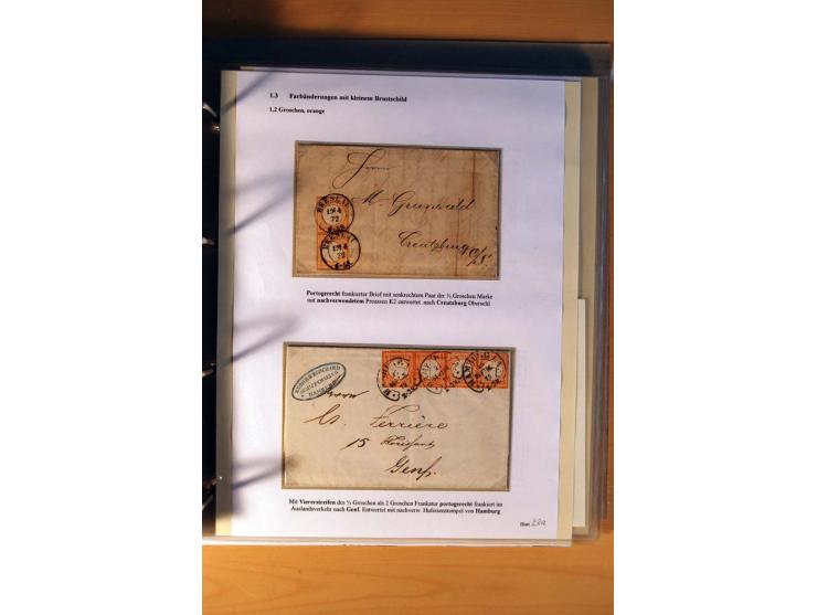 1872/75, große Brustschilde-Ausstellungs-Sammlung auf 83 Blättern, dabei viele Besonderheiten, u.a. raue Zähnung, fehlende Zä