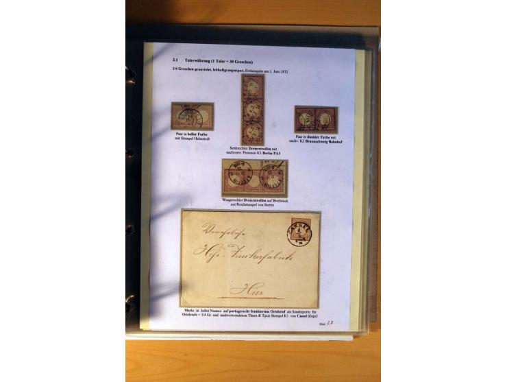 1872/75, große Brustschilde-Ausstellungs-Sammlung auf 83 Blättern, dabei viele Besonderheiten, u.a. raue Zähnung, fehlende Zä